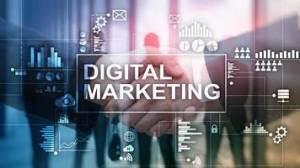 Digital Marketing Expert in Budaun