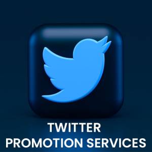 Twitter Promotion in Bishnupur