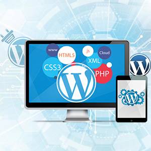 Wordpress Development in Vikaspuri